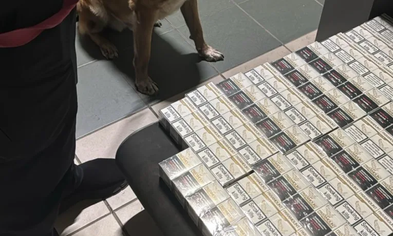 На Львівщині прикордонники виявили 400 пачок цигарок і косметику без декларування