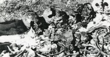 Дні розстрілів у Сандармоху: список жертв НКВС як нагадування чого хоче Путін