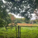 Адвокат зі Львова придбав земельну ділянку в Миколаєві за понад 3 млн грн