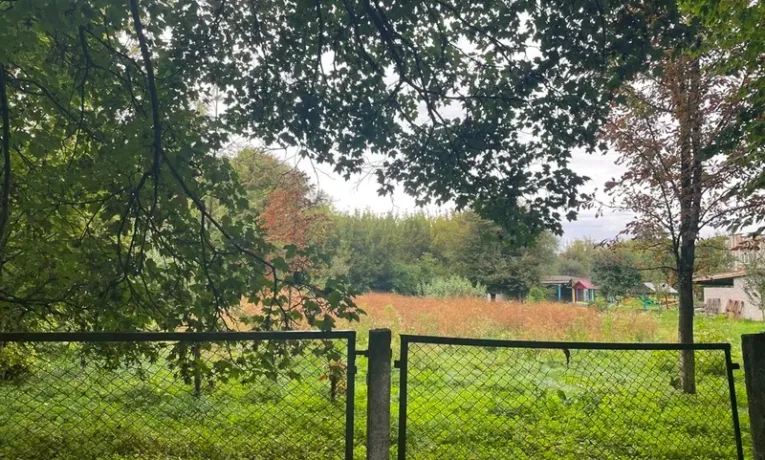 Адвокат зі Львова придбав земельну ділянку в Миколаєві за понад 3 млн грн