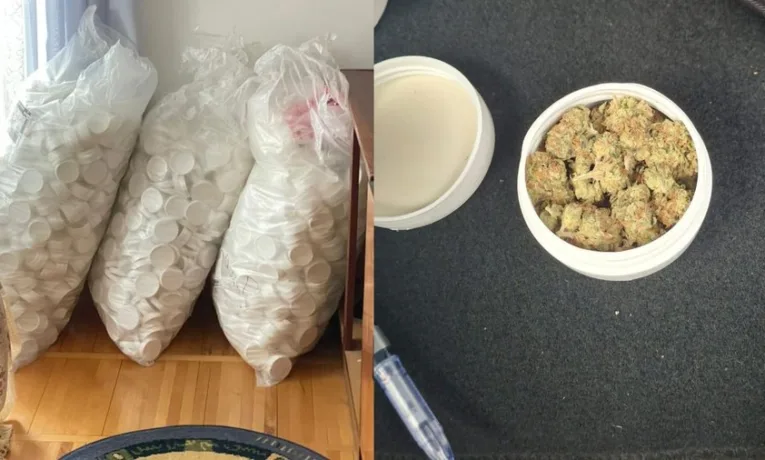 На Львівщині підозрюють 77-річну жінку та її сина у вирощуванні конопель для продажу