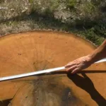 Громаді Львівщини виплатили відшкодування в розмірі майже 1 мільйон гривень