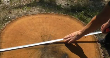 Громаді Львівщини виплатили відшкодування в розмірі майже 1 мільйон гривень