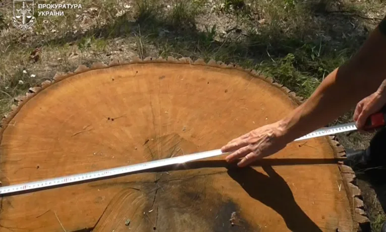 Громаді Львівщини виплатили відшкодування в розмірі майже 1 мільйон гривень