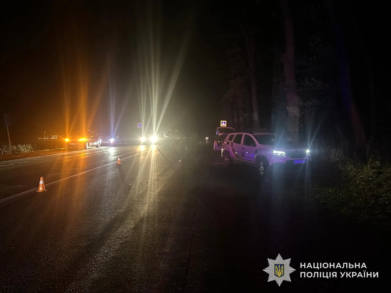 На Львівщині водій збив двох пішоходів: один загинув, жінка у лікарні