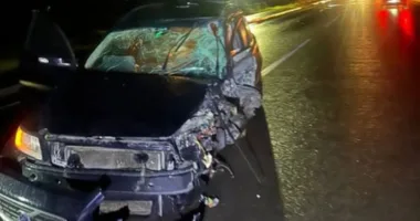 В ДТП на Стрийщині травмувалися четверо людей — серед них 6-річний хлопчик