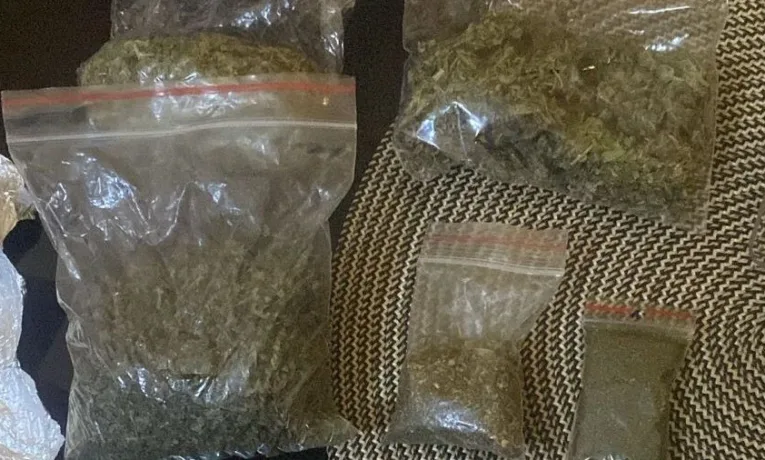 На Львівщині чотирьох чоловіків підозрюють у вирощуванні коноплі в лісі