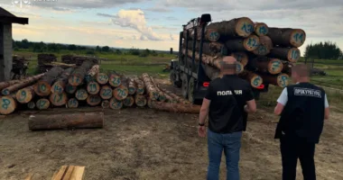 На Львівщині викрито схему незаконної вирубки лісу на 9 млн грн
