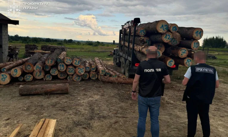 На Львівщині викрито схему незаконної вирубки лісу на 9 млн грн