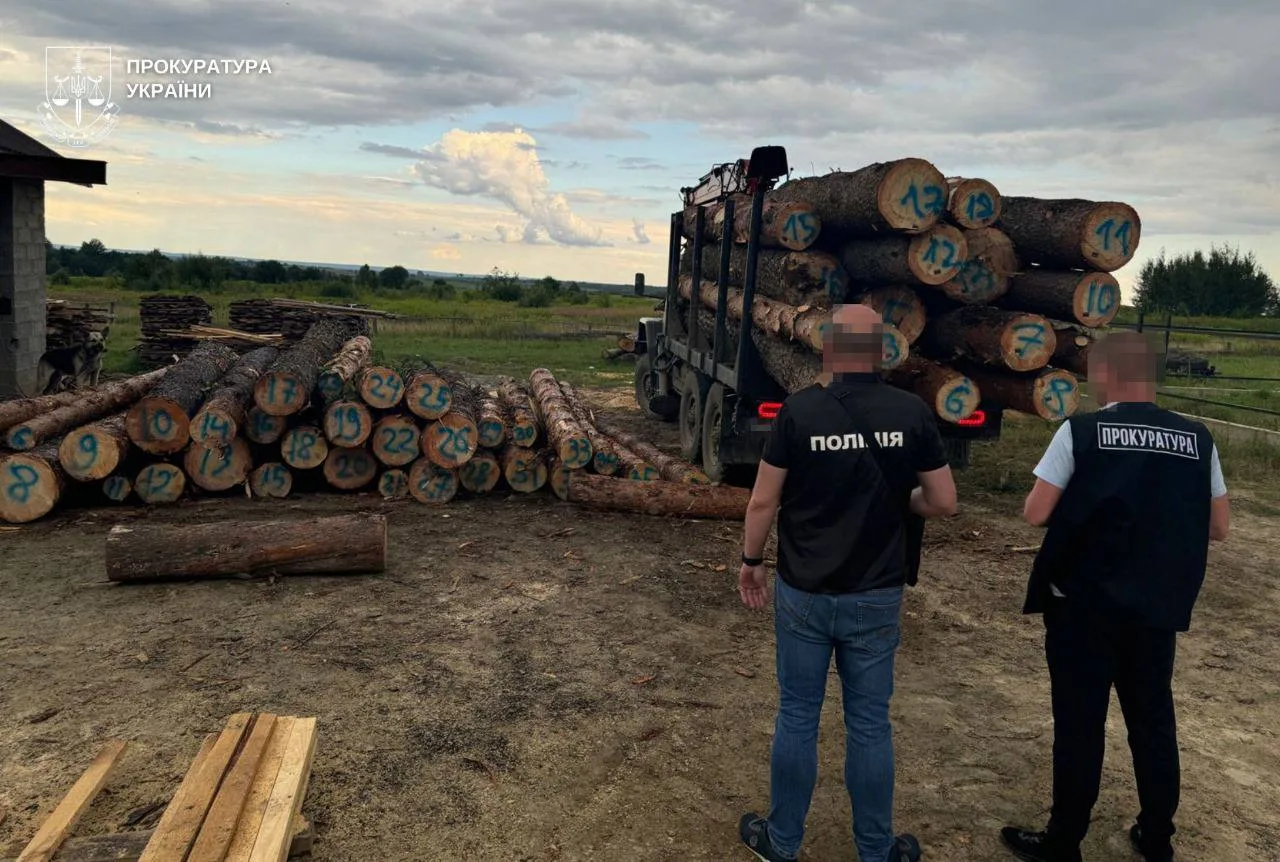 На Львівщині викрито схему незаконної вирубки лісу на 9 млн грн