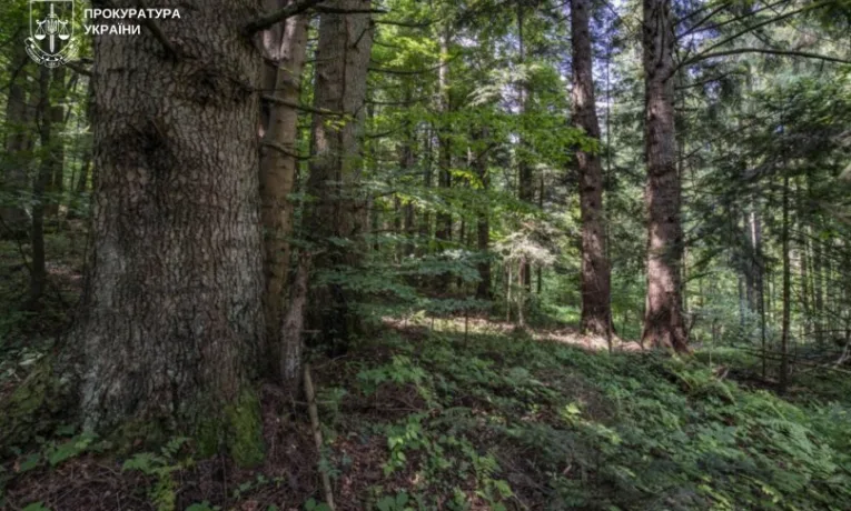 На Львівщині пам’ятці природи “Багнувата” забезпечать охоронний статус