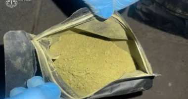 У Львові викрили “складмена” із десятком кілограмів наркотиків