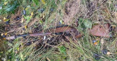 “Сафарі” на Стрийщині: судитимуть чоловіків, які стріляли в авто лісничого