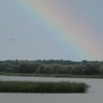 Добротвірське водосховище на Львівщині повернуть у державну власність