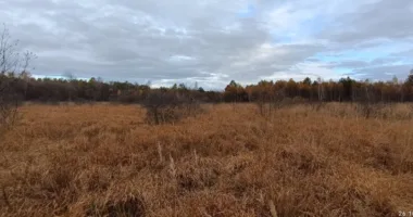 На Львівщині планують створити ботанічний заказник «Кави» площею понад 200 га