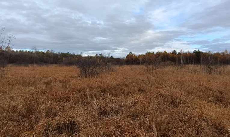 На Львівщині планують створити ботанічний заказник «Кави» площею понад 200 га
