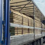 Підприємця із Зимноводівської громади підозрюють у спробі контрабанди дубових лісоматеріалів до Польщі