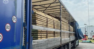 Підприємця із Зимноводівської громади підозрюють у спробі контрабанди дубових лісоматеріалів до Польщі