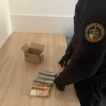 Мільйони в коробці: львівські митники зупинили спробу незаконного переміщення готівки на понад 1,8 мільйона гривень