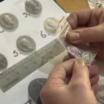 Львівські митники передали Любомльському музею срібні монети Римської імперії та XVI століття