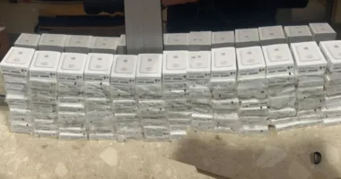 Львівські митники виявили контрабанду акумуляторів MagSafe на 600 тис. грн