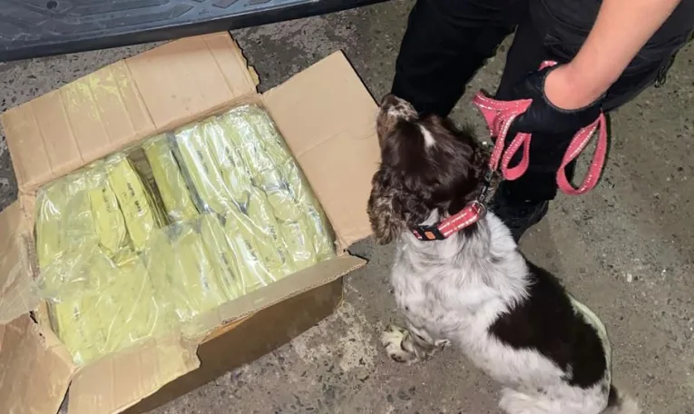 На Львівщині правоохоронці викрили канал міжнародної контрабанди наркотиків на понад 4 млн грн