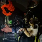 Через пожежу в триповерховому будинку у Львові травмувалися двоє людей