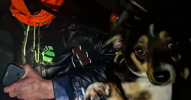 Через пожежу в триповерховому будинку у Львові травмувалися двоє людей