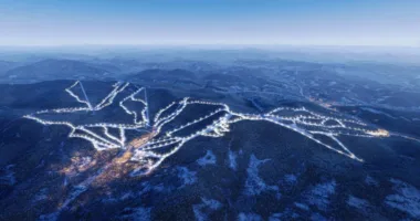 Львівська облрада погодила вилучення 186 гектарів лісу для будівництва гірського курорту GORO Mountain Resort