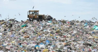 На Львівщині судитимуть депутата селищної ради за забруднення земель відходами