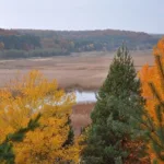 На Львівщині створили 3D-тур унікальним водно-болотним угіддям заповідника “Розточчя”