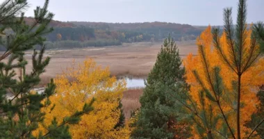 На Львівщині створили 3D-тур унікальним водно-болотним угіддям заповідника “Розточчя”
