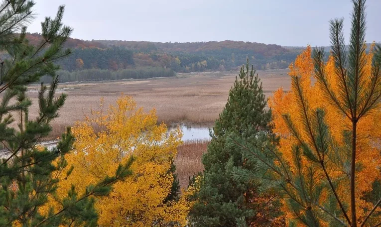 На Львівщині створили 3D-тур унікальним водно-болотним угіддям заповідника “Розточчя”