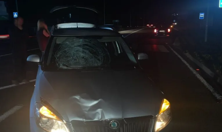 Суд відправив під домашній арешт водія, який у Малечковичах смертельно травмував 14-річну дівчину