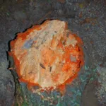 На Львівщині суд зобов’язав ДП «Ліси України» відшкодувати понад мільйон гривень за незаконну вирубку дерев