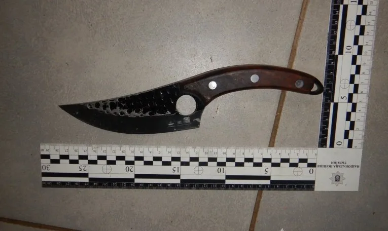 На Львівщині чоловік напав з ножем на поліцейського під час виклику про домашнє насильство