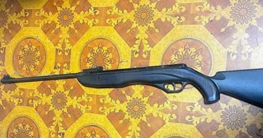 Застрелила собаку посеред дороги: на Львівщині розслідують вбивство тварини