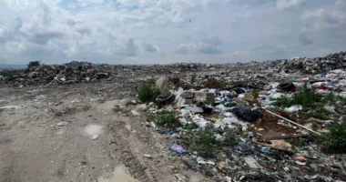 Суд у Львові оштрафував водія за забруднення земель у Винниках