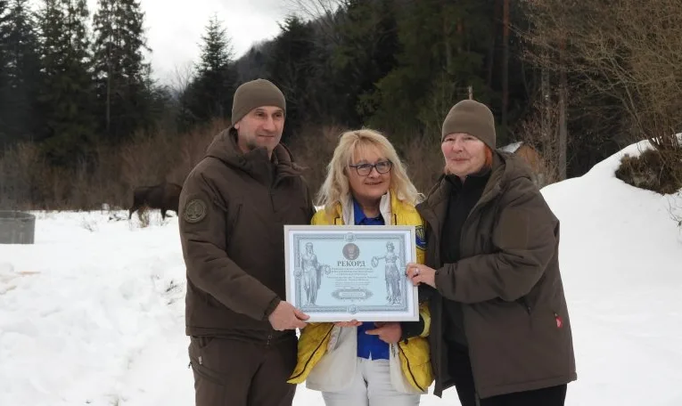 У “Сколівських Бескидах” зафіксували найбільшу субпопуляцію європейського зубра в Українських Карпатах