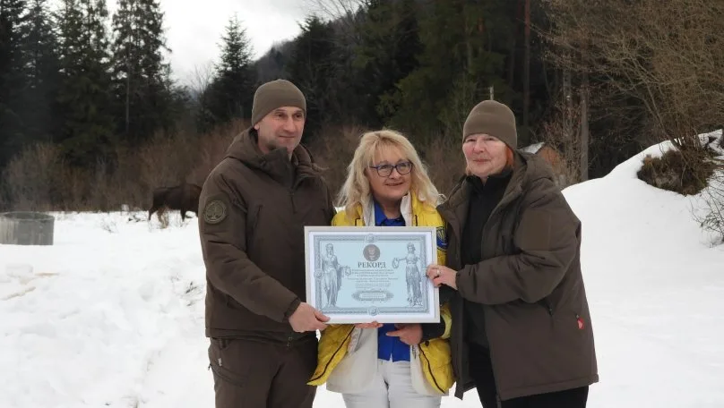 У “Сколівських Бескидах” зафіксували найбільшу субпопуляцію європейського зубра в Українських Карпатах