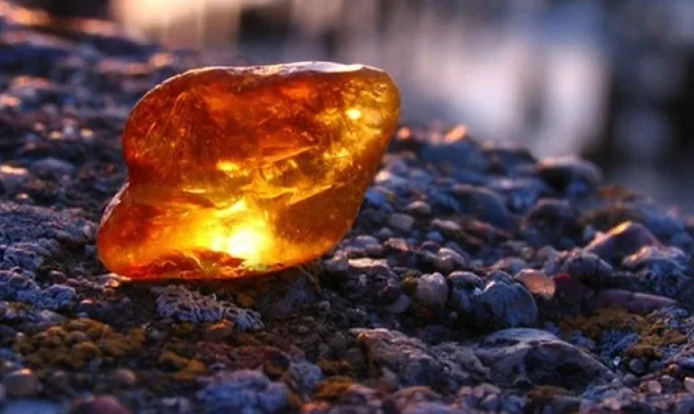 У Львові водія оштрафували майже на 290 тис. грн за спробу вивезти 4,2 кг бурштину