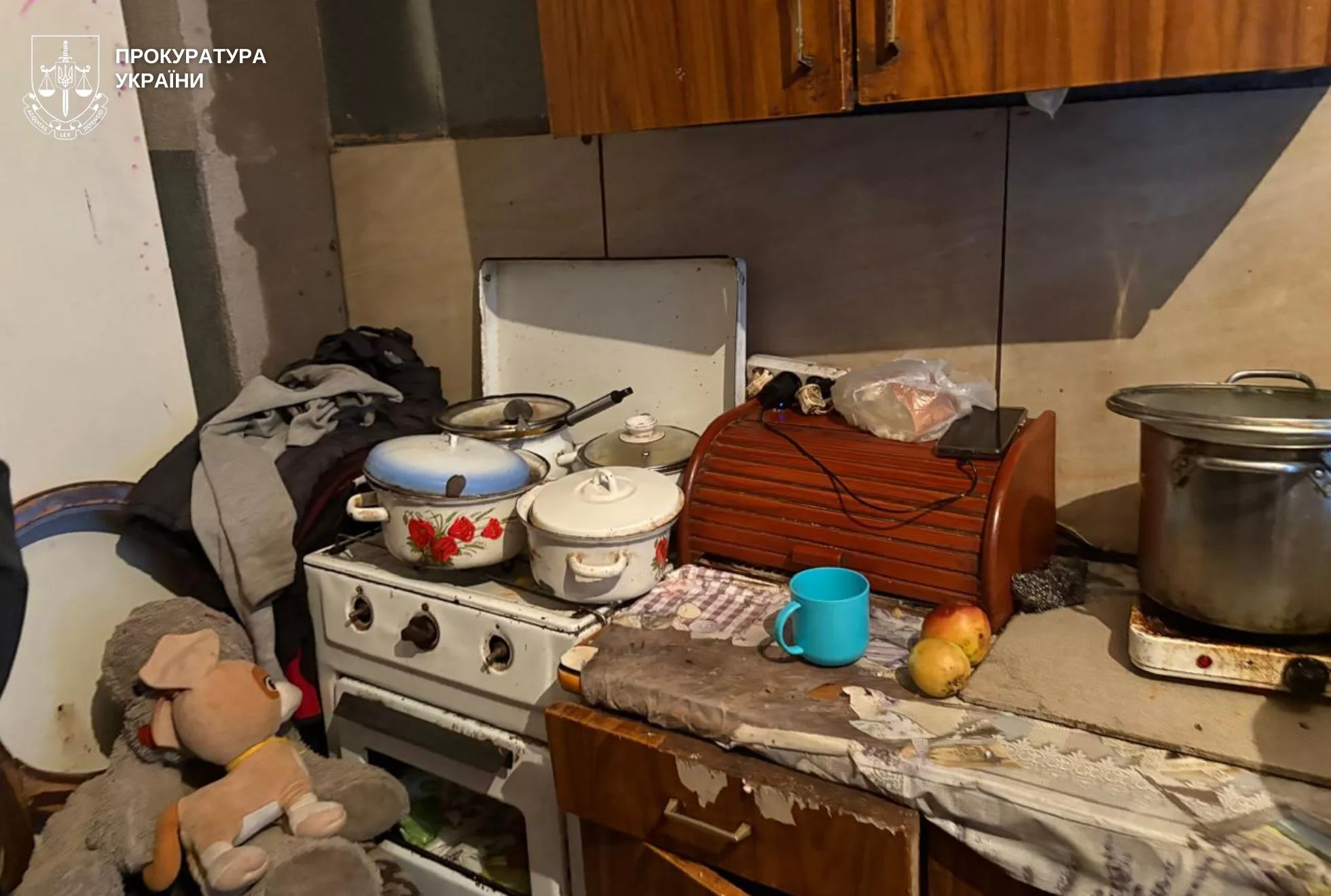 На Львівщині з багатодітної сім’ї вилучили сімох дітей: двоє малолітніх у важкому стані в лікарні з туберкульозом та опіками