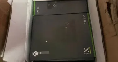 Львівська митниця продає конфісковані Xbox та ігрові керма: стартова ціна — 21 тис. грн