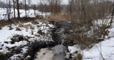 На Львівщині стався масштабний витік нафти