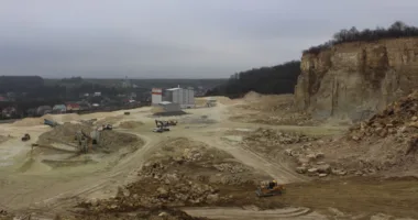 На Стрийщині директор лісгоспу уник покарання за передачу лісу під карʼєр