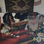 На Львівщині судитимуть двох чоловіків за жорстокий розбійний напад на подружжя