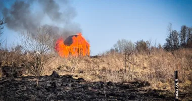 На Львівщині за добу ліквідували 45 пожеж сухої трави