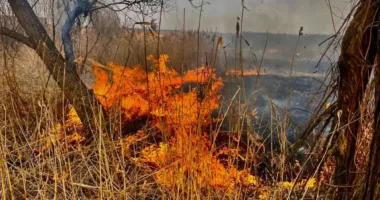 На Львівщині під час спалювання сухої трави загинули троє людей