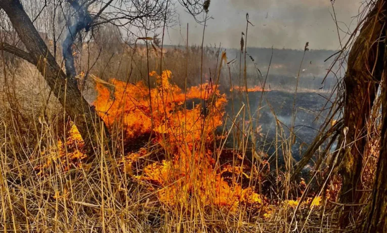 На Львівщині під час спалювання сухої трави загинули троє людей