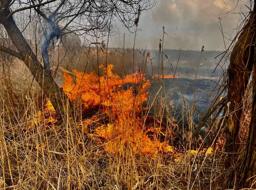 На Львівщині під час спалювання сухої трави загинули троє людей